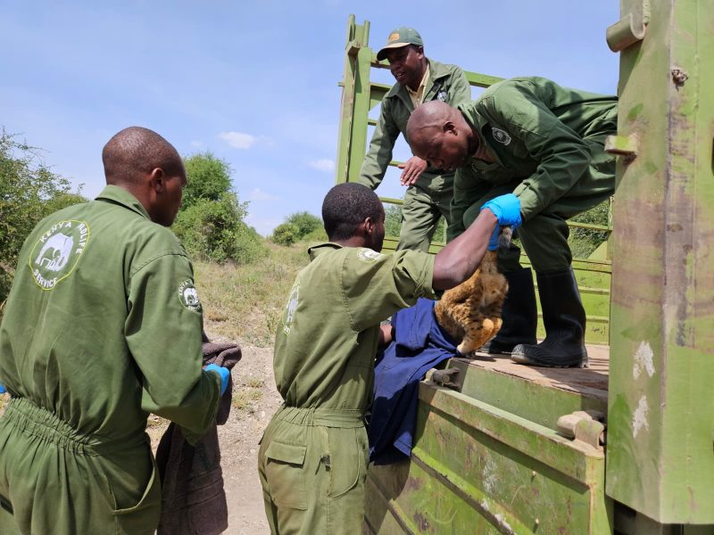 KWS, Industry Pioneers to Chart Future of Sustainable Global Tourism in Nairobi