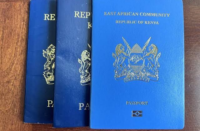 Slow ratification threatens push for visa-free Africa – China Daily