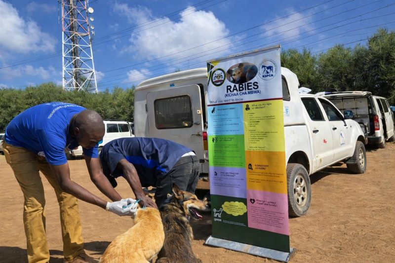 Sakaja’s City Hall Rabies Campaign Gains Momentum with 2,418 Donkey, Dogs and Cats Vaccinated as 10,000 Target Nears