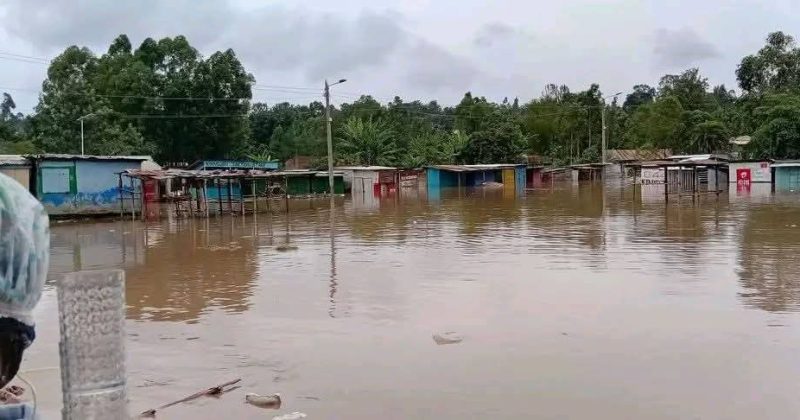 Hundreds Homeless as River Migori Bursts Banks in Migori County