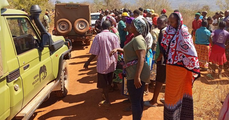Residents move to evict KWS officers from social hall as rogue jumbo kills 2 people in weeks