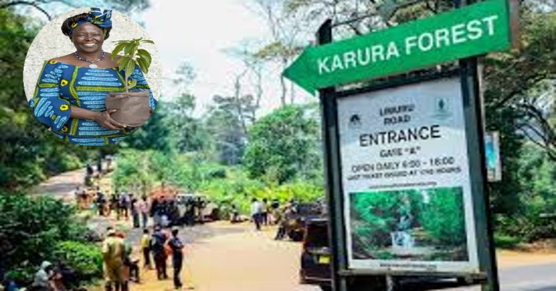 Nobel Peace Laureates to Visit Kenya for Wangari Maathai Day, Champion Climate Justice