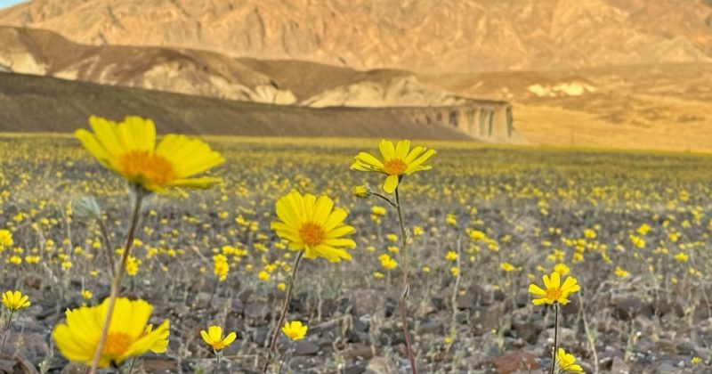 Earth records hottest 11-year period as climate crisis deepens: WMO