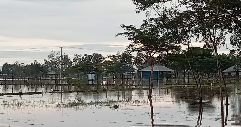 381 Households Affected by Floods after Sondu Miriu bursts its banks