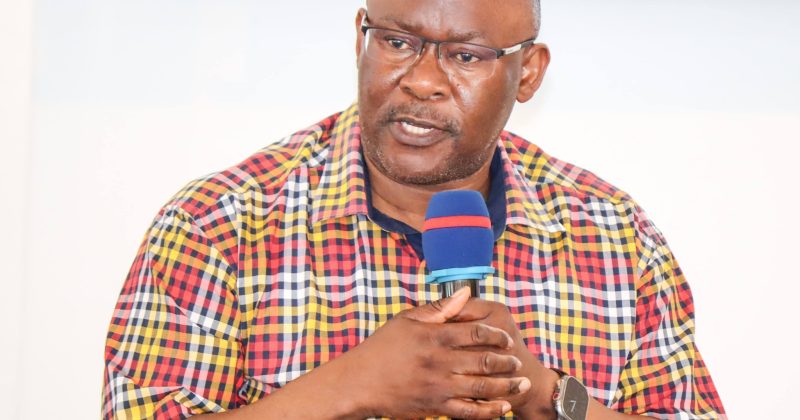 KEDIPA calls for mandatory disability audit for all laws