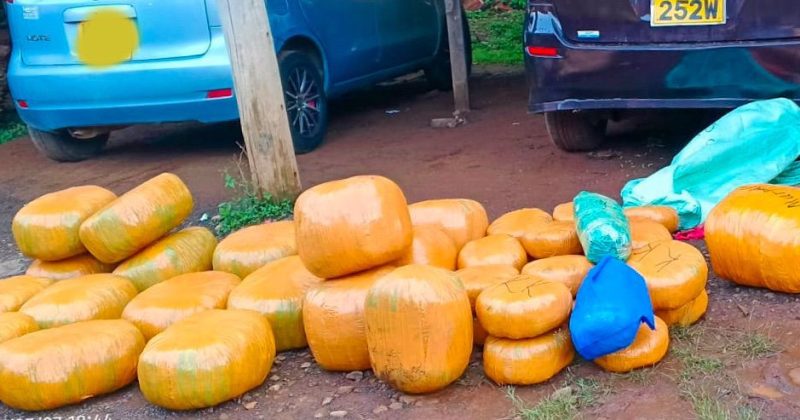 Sh23.4m cannabis consignment seized in busia