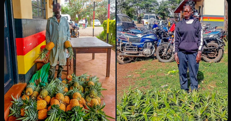 NPS calls for stronger private sector collaboration to curb farm theft