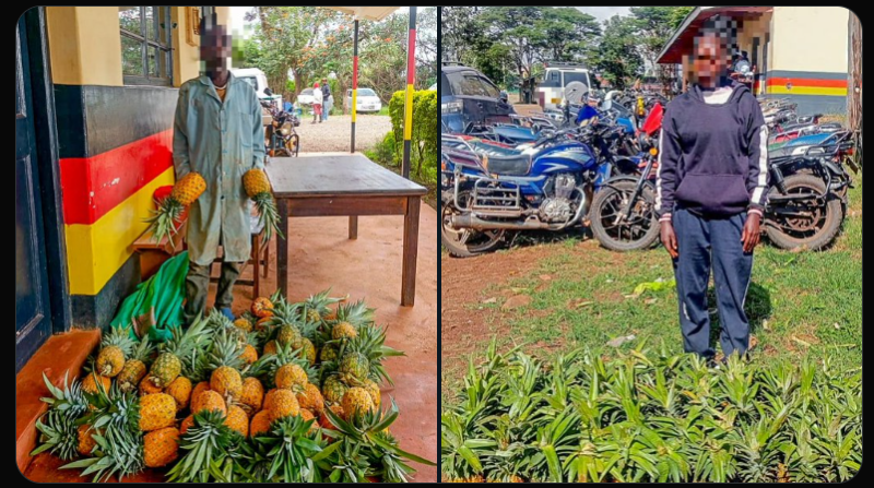 NPS calls for stronger private sector collaboration to curb farm theft