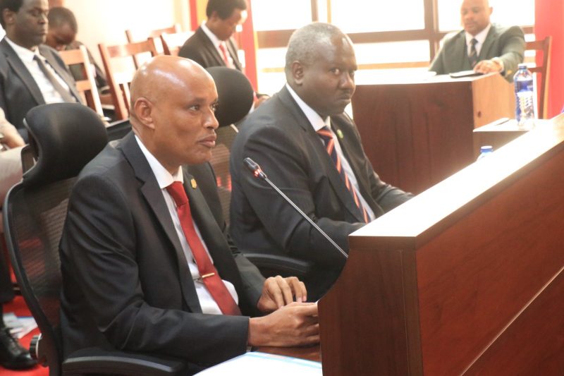 MPs blame weak laws, police failures for stalling drug abuse war