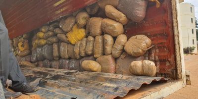 Police Seize Sh3 Million Cannabis Haul in PSV