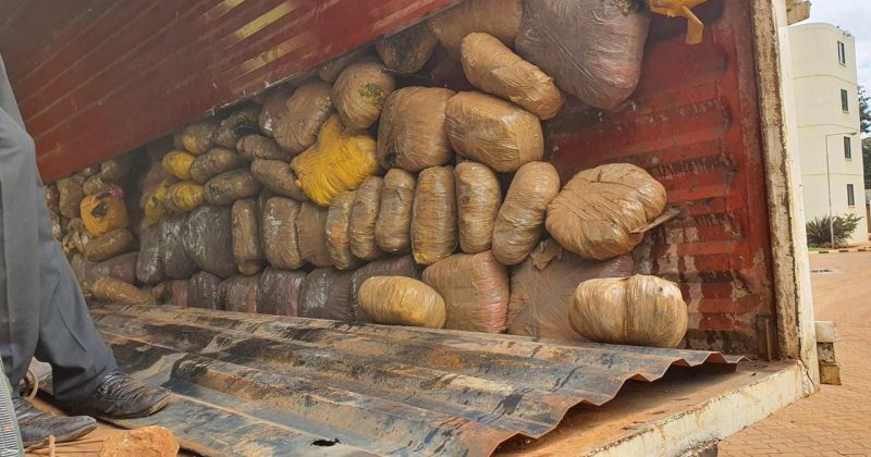 Police Seize Sh3 Million Cannabis Haul in PSV