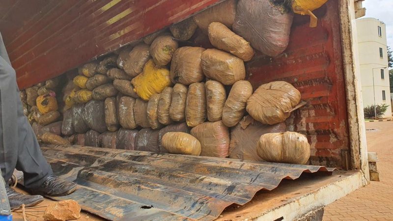 Police Seize Sh3 Million Cannabis Haul in PSV