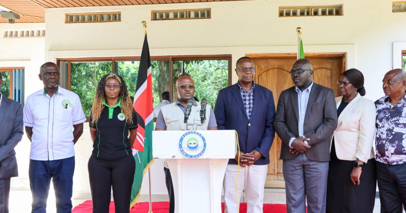 Uncollected IDs Threaten Voter Registration Drive, IEBC Told