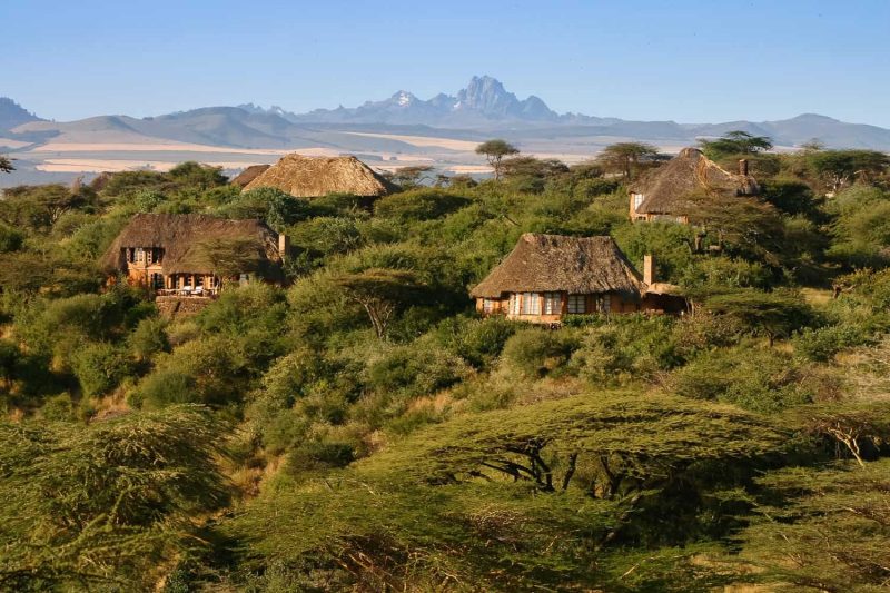 Lewa’s New CEO and the Evolving Face of Conservation Leadership