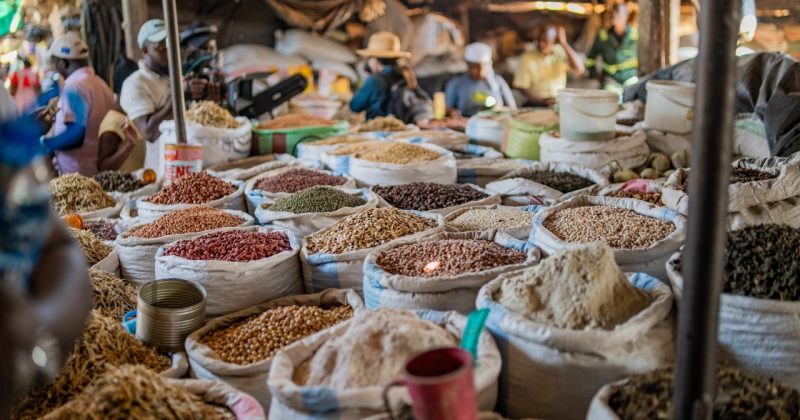 OPINION:Bridging Seed Access in the Face of Global Disruptions