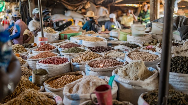 OPINION:Bridging Seed Access in the Face of Global Disruptions