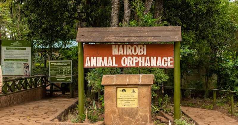 Kenya relocates Nairobi Animal Orphanage to boost wildlife care – China Daily