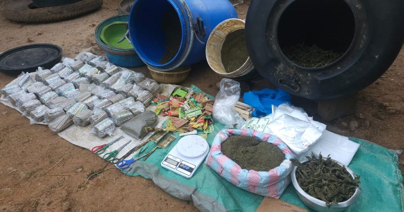 NACADA Nets Sh1mn Cannabis in Kitui Raid, Suspected Trafficker Arrested