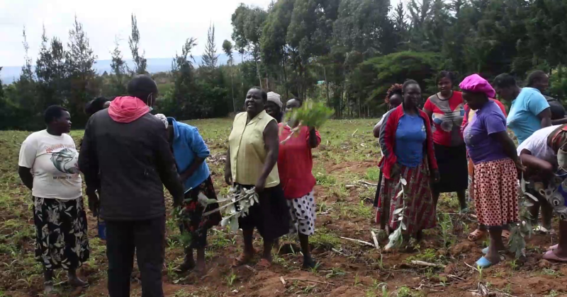 Residents protest rising livestock theft amid insecurity in Molo