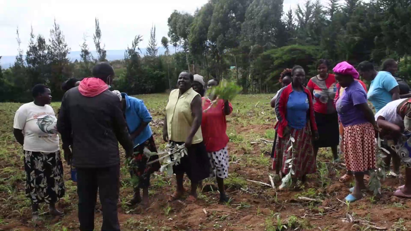 Residents protest rising livestock theft amid insecurity in Molo