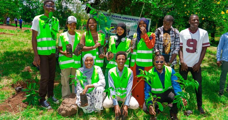 Experts Warn of Drought Risk as Kenya Faces Rising Deforestation