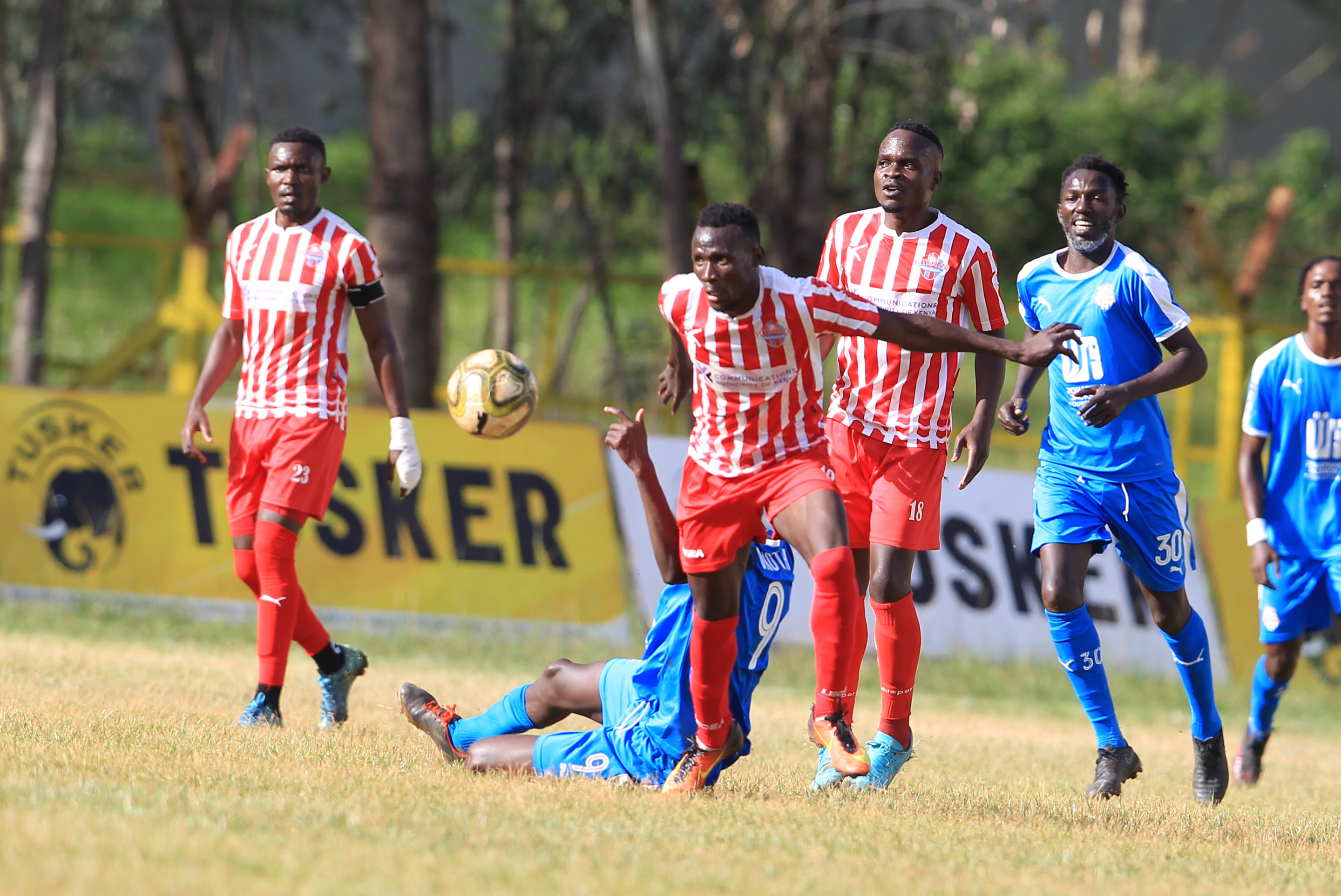 <strong>‘Simba wa Nairobi’ caged again as Tusker extend unbeaten run</strong>